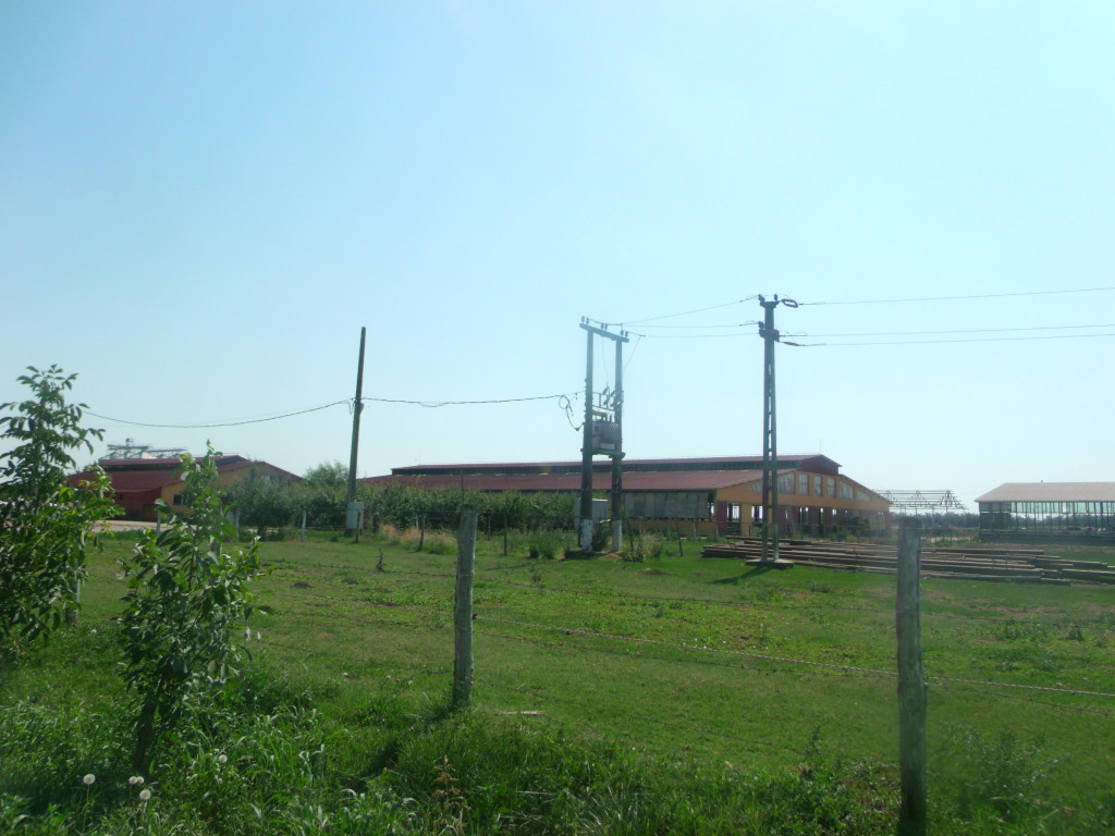 APDSC DIGITAL CAMERA